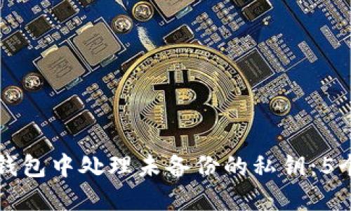 如何在TP钱包中处理未备份的私钥：5个解决方案