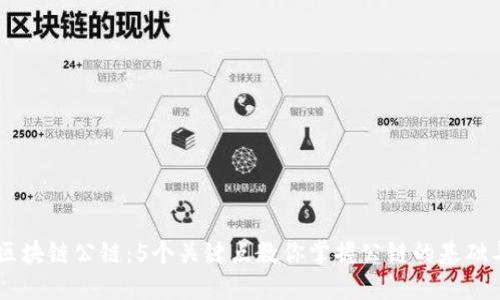 了解区块链公链：5个关键点教你掌握公链的基础与应用