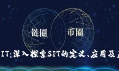 区块链SIT：深入探索SIT的