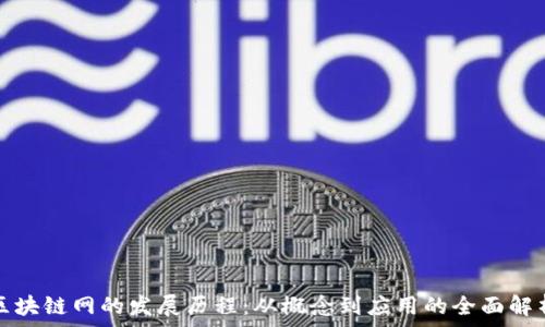   
区块链网的发展历程：从概念到应用的全面解析