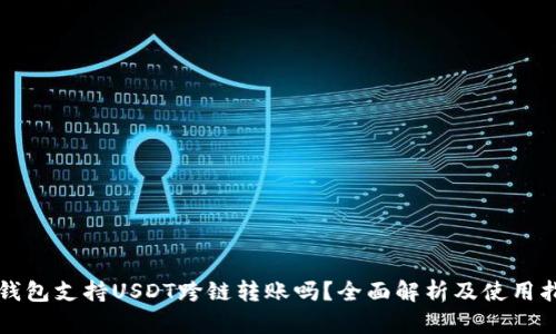 TP钱包支持USDT跨链转账吗？全面解析及使用指南