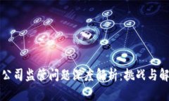 区块链公司监管问题深度解析：挑战与解决方案